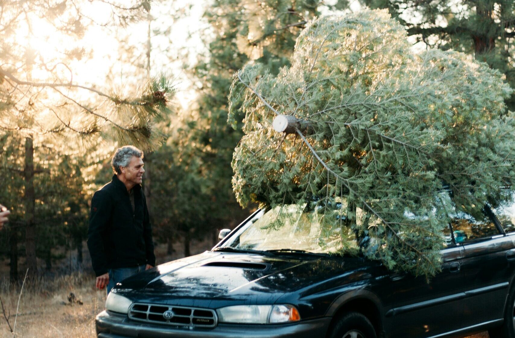 Weihnachtsbaum auf Autodach